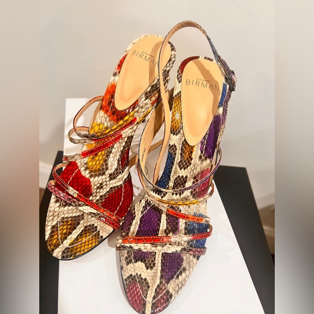 Alexandre birman strip snake shoes size 9 wore it once